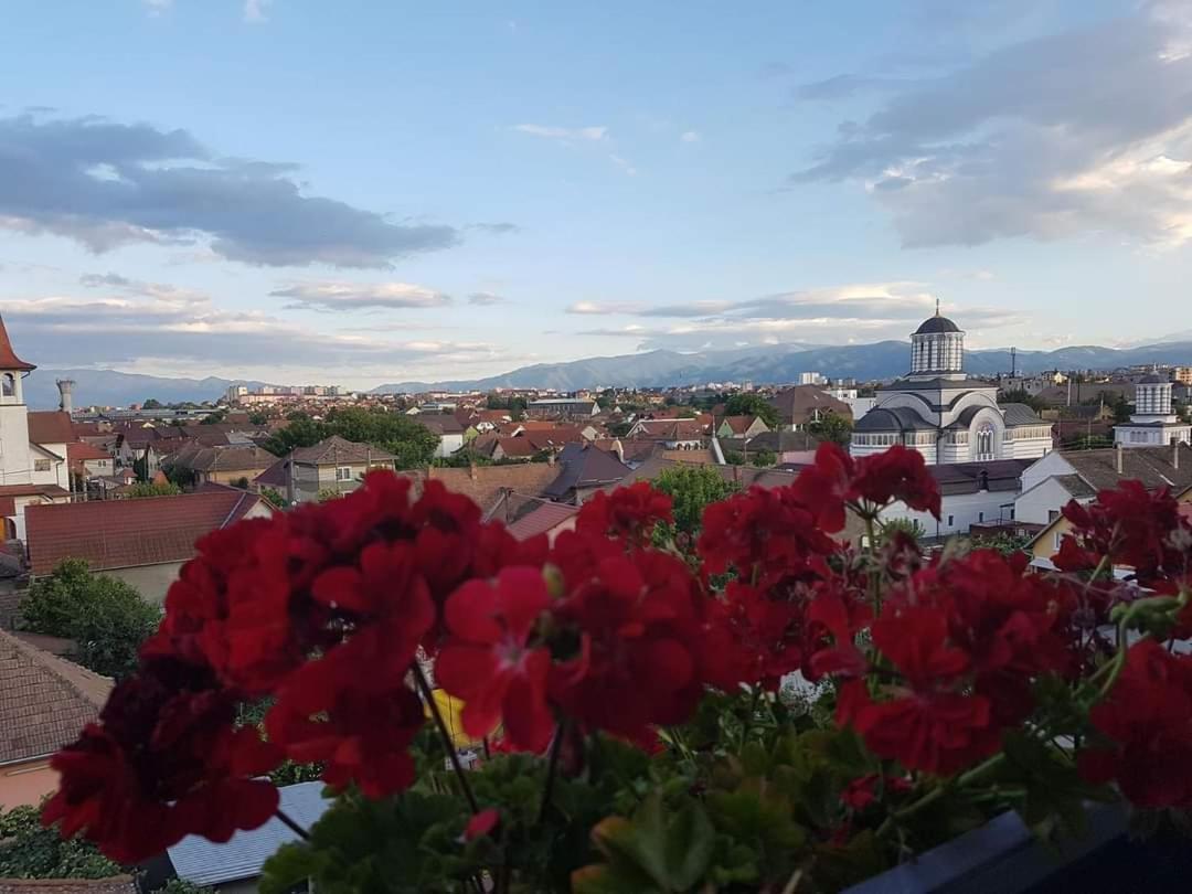 Sibiu Bach Penthouse Apartment Bagian luar foto